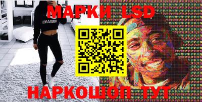 стаф Славгород