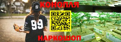каннабис Сланцы
