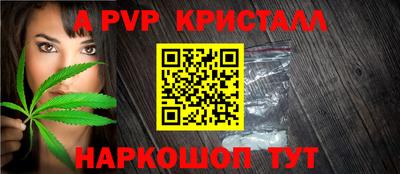 стаф Славгород
