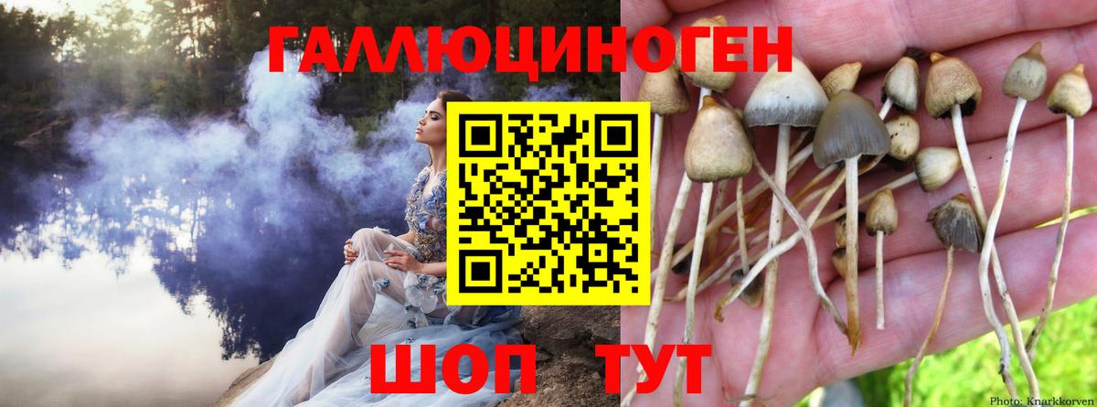 Галлюциногенные грибы Magic Shrooms Шебекино
